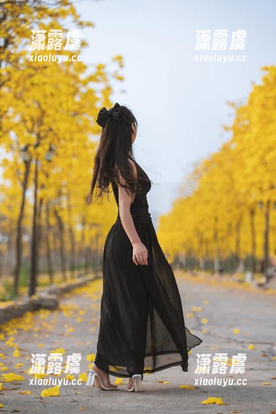 难以抗拒的诱惑：萌芽儿o0油亮私房图包评测